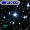 HD 202832