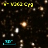 V* V362 Cyg