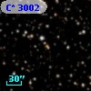 C* 3002
