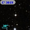 C* 3019