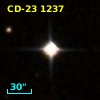CD-23  1237