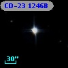 CD-23  1246B