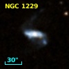 NGC  1229