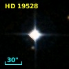 HD  19528