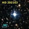 HD 202163