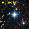 HD 202347