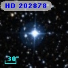 HD 202878