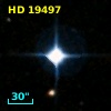 HD  19497
