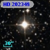 HD 202348