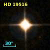 HD  19516