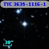 TYC 3638-1116-1
