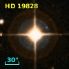HD  19828