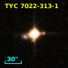 TYC 7022-313-1