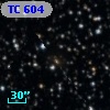 TC 604
