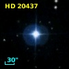 HD  20437