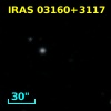 IRAS 03160+3117