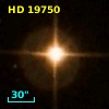 HD  19750
