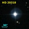 HD  20318