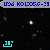 1RXS J031335.6+283526