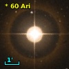*  60 Ari