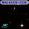 IRAS 03126+2536