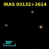 IRAS 03132+2614