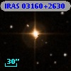 IRAS 03160+2630