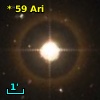 *  59 Ari