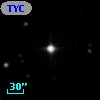 TYC 1784-1004-1