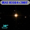 IRAS 03164+2007