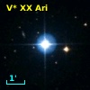 V* XX Ari