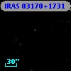 IRAS 03170+1731