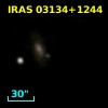 IRAS 03134+1244