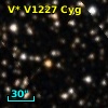 V* V1227 Cyg