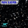 NSV 13599