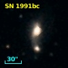 SN 1991bc