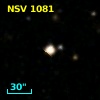 NSV  1081