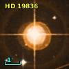 HR   955