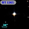 WT 1365