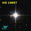 HD  19897