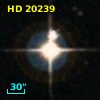 HD  20239