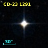 CD-23  1291