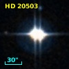 HD  20503