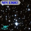 NSV 13602