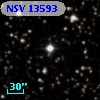NSV 13593
