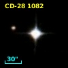 CD-28  1082