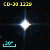 CD-30  1229