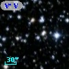 V* V2445 Cyg