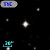 TYC 7019-445-1