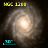 NGC  1288